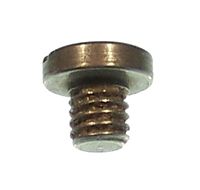CLEAN OUT SCREW