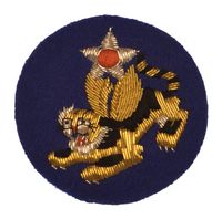 14TH AIR FORCE PATCH
