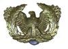 WARRANT OFFICERS INSIGNIA