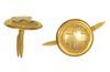 M1881 HOSPITAL CORPS HELMET SIDE BUTTONS
