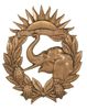 FRENCH IVORY COAST COLONIAL TROOP BADGE