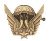 FRENCH IVORY COAST PARATROOPERS BADGE