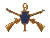 PA NATIONAL GUARD CAP INSIGNIA