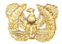 WW2 U.S. ARMY WARRANT OFFICER'S COLLAR INSIGNIA