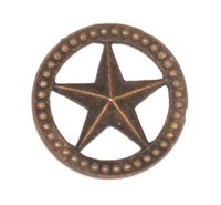 WW2 SERVICE STAR PIN (CIVILIAN)