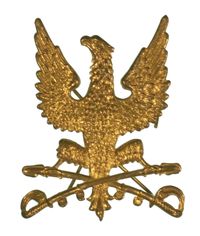 CIRCA 1900 POLISH SOCIETY BADGE