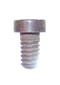 PAN SCREW