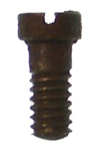 BAND SCREW