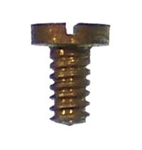 MAYNARD DOOR CATCH SCREW