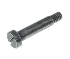 HINGE SCREW