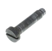 HINGE SCREW