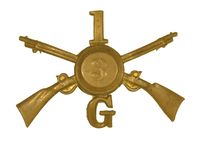 NYS MILITIA SEP CO. CAP INSIGNIA