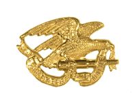 REMEMBER THE MAINE COMMEMORATIVE PIN