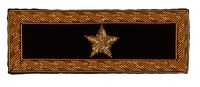 BRIGADIER GENERAL STAFF SHOULDER STRAP
