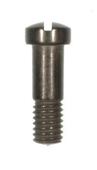BRIDLE / SEAR SCREW