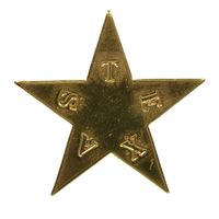 CIVIL WAR TEXAS CAP BADGE