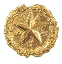 CIVIL WAR TEXAS CAP BADGE