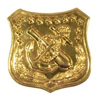 9th CORPS BADGE