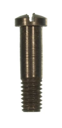 SWIVEL SCREW