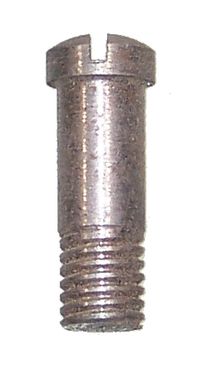 BRIDLE SCREW