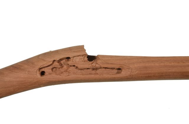 1847 MUSKETOON STOCK #2