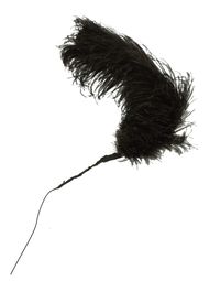BLACK OSTRICH PLUME FOR JEFF DAVIS HAT