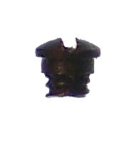 M1902 TANGENT PEEP PLATE MOUNTING SCREW