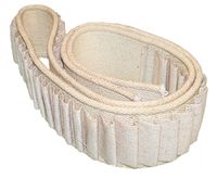 1887 MILLS WEB RIFLE BELT #2