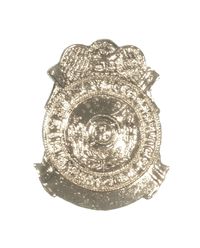 CITY OF NEW YORK LIFE SAVING SERVICE BADGE