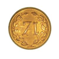 INDIAN WAR NEW YORK BUTTON