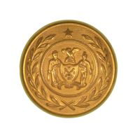 INDIAN WAR NEW YORK BUTTON