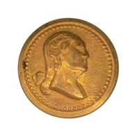 INDIAN WAR NEW YORK BUTTON