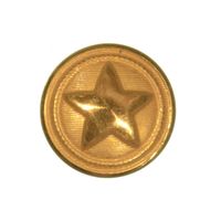 CIVIL WAR CONFEDERATE TEXAS BUTTON