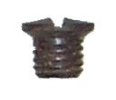 SPRING COVER SCREW