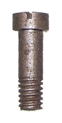 BRIDLE SCREW