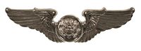 AIR CREW MEMBER WINGS