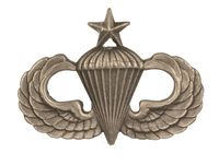 SENIOR PARACHUTIST WINGS