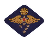 FAR EAST AIR FORCE,PACIFIC AIR COMMAND PATCH