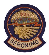 501ST INFANTRY PARACHUTE REGIMENT PATCH