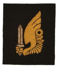 VIETNAMESE PARATROOP JUMP BADGE