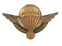 CONGO AIRBORNE WINGS