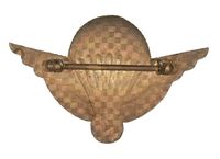 CONGO AIRBORNE WINGS #2