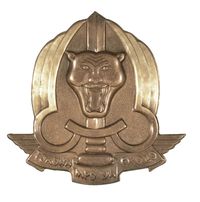 CONGO AFRICA COMMANDO BERET BADGE