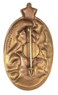 IRANIAN RASTAKHIZ ANTI-COMMUNIST STRUGGLE BADGE #2