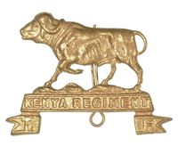 BRITISH COLONY CAP BADGE
