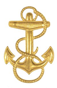 USN CAP DEVICE