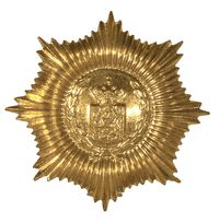 FOREIGN BRASS 8 POINT SHIELD WITH CREST