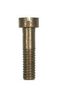 BRIDLE SCREW