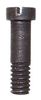 SEAR SCREW