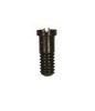 PLUNGER SCREW